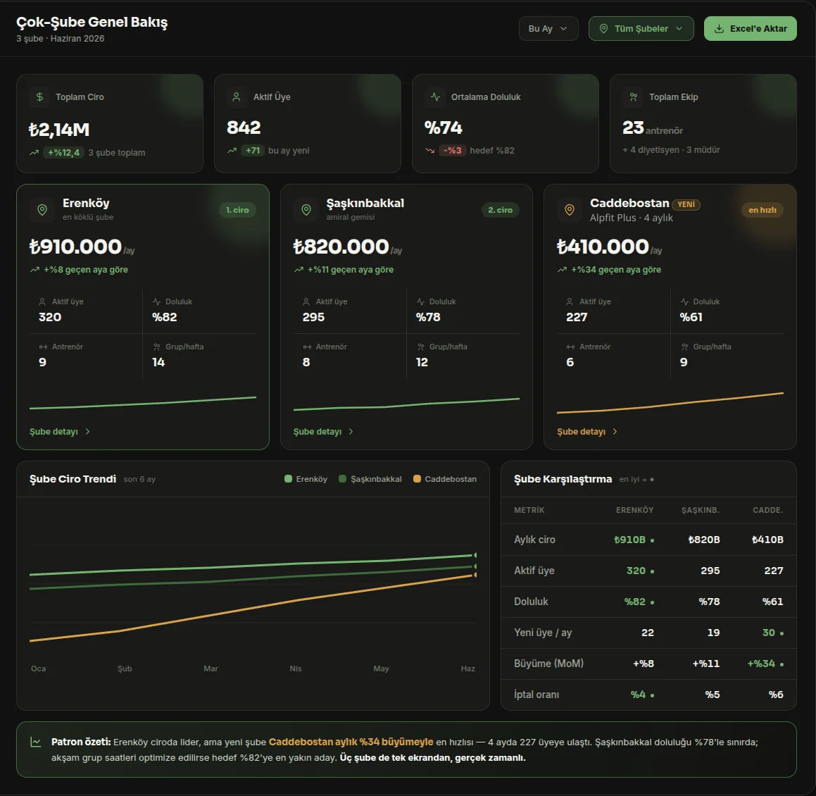 Alpfit Plus multi-branch dashboard — revenue, members and occupancy on one screen